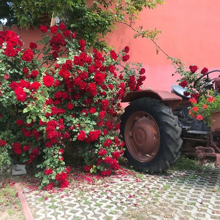 Agriturismo Mulino Bianco Лонато Екстериор снимка
